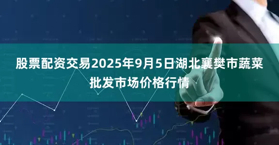 股票配资交易2025年9月5日湖北襄樊市蔬菜批发市场价格行情